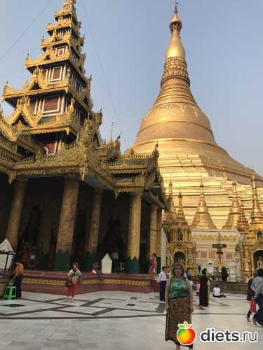 26 ����: ������ 2017. �����