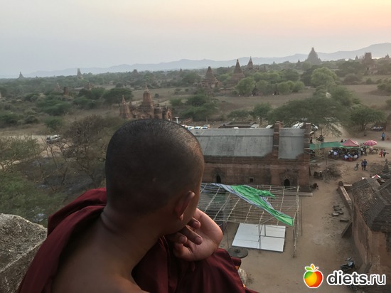 164 ����: ������ 2017. �����