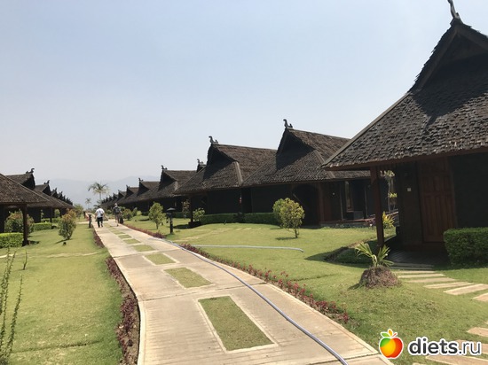 609 ����: ������ 2017. �����