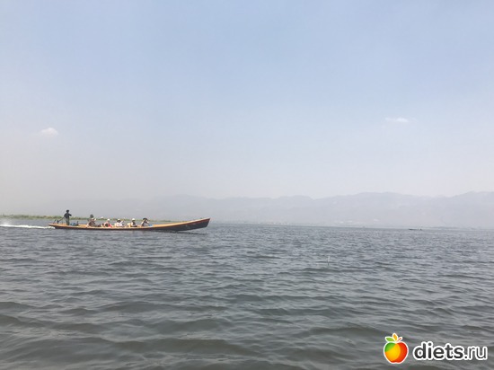 610 ����: ������ 2017. �����