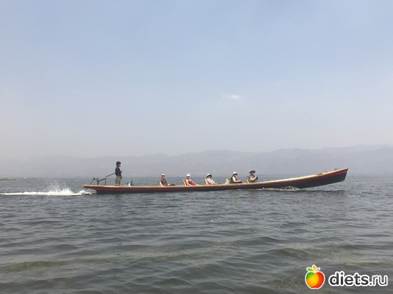 611 ����: ������ 2017. �����