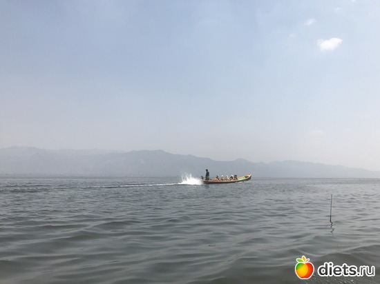 612 ����: ������ 2017. �����