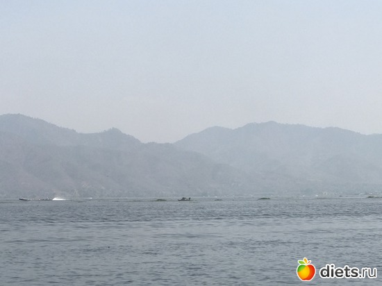 613 ����: ������ 2017. �����