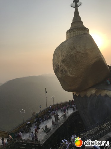 784 ����: ������ 2017. �����