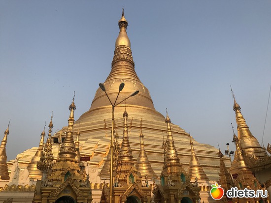 31 ����: ������ 2017. �����