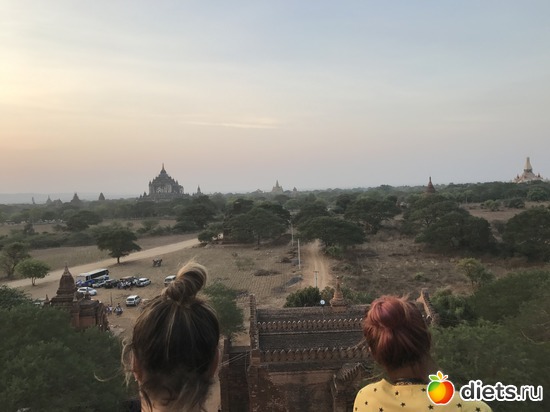 176 ����: ������ 2017. �����