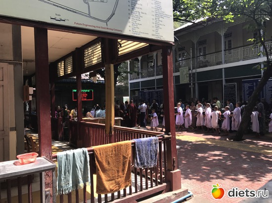 339 ����: ������ 2017. �����