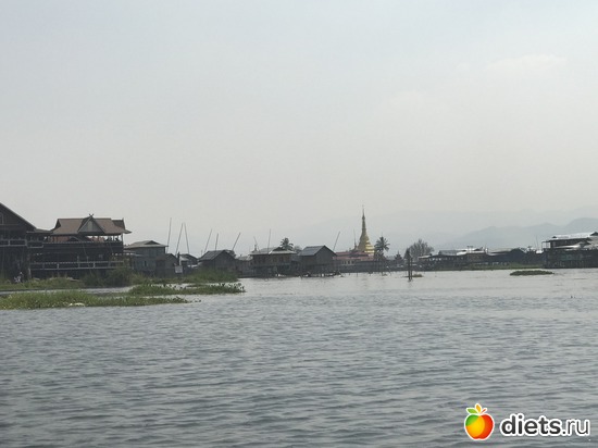 616 ����: ������ 2017. �����