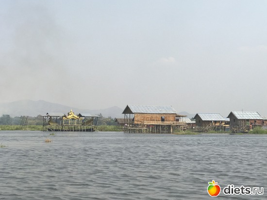 617 ����: ������ 2017. �����