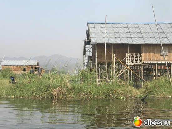 619 ����: ������ 2017. �����