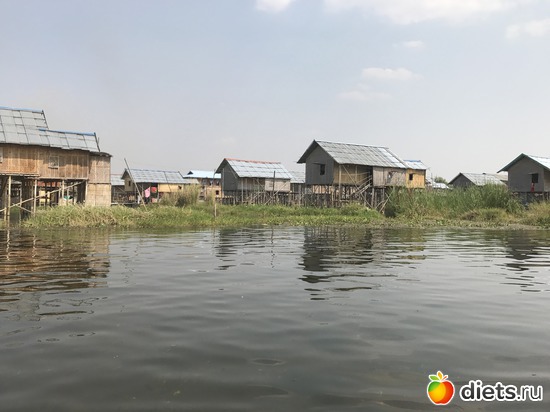 620 ����: ������ 2017. �����