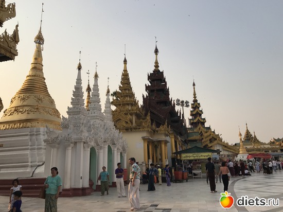 33 ����: ������ 2017. �����