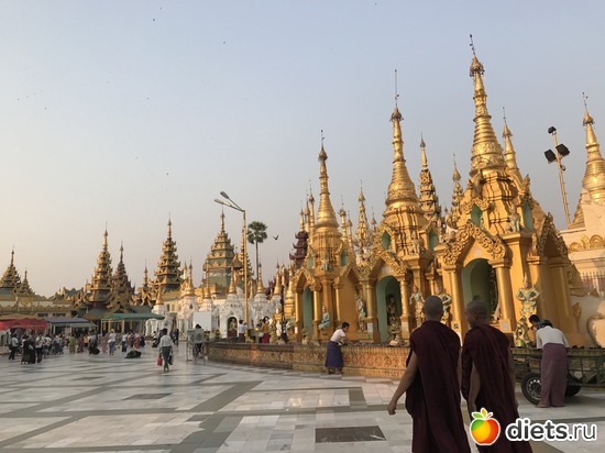 35 ����: ������ 2017. �����