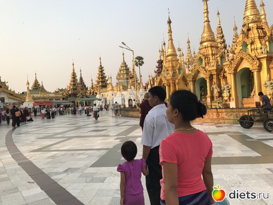 36 ����: ������ 2017. �����