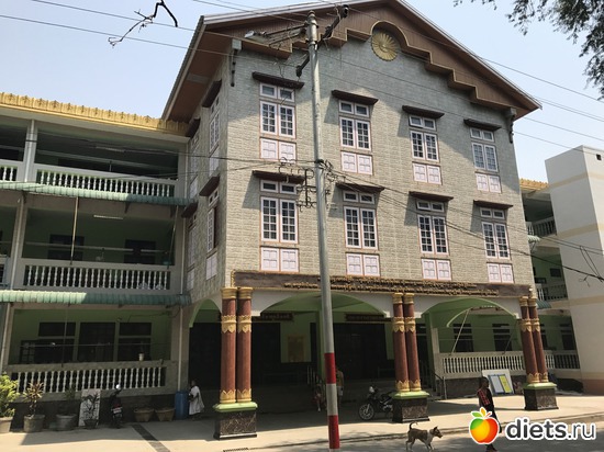 342 ����: ������ 2017. �����