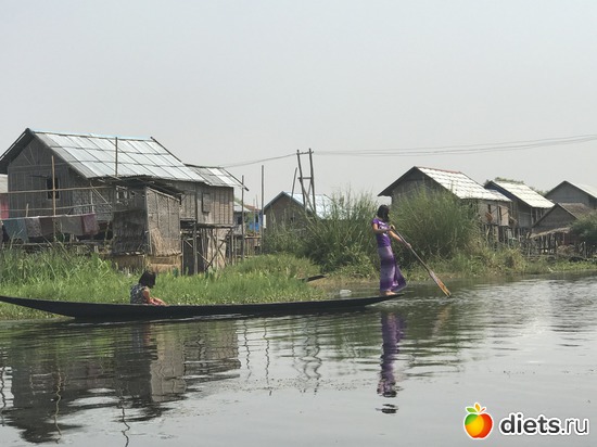 622 ����: ������ 2017. �����