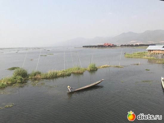 623 ����: ������ 2017. �����