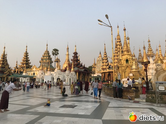 37 ����: ������ 2017. �����