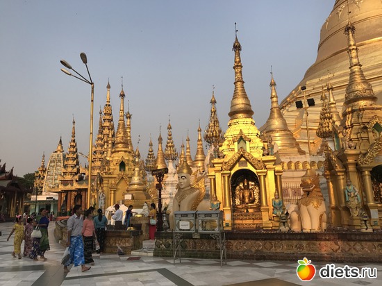 38 ����: ������ 2017. �����