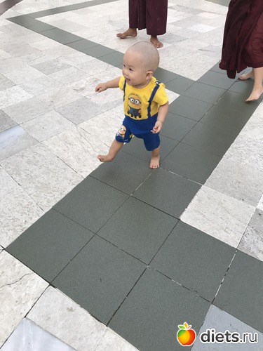 39 ����: ������ 2017. �����