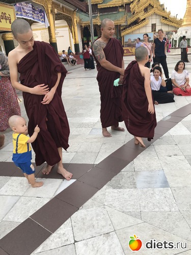 40 ����: ������ 2017. �����