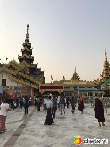 41 ����: ������ 2017. �����