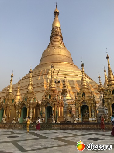 43 ����: ������ 2017. �����