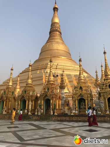 44 ����: ������ 2017. �����