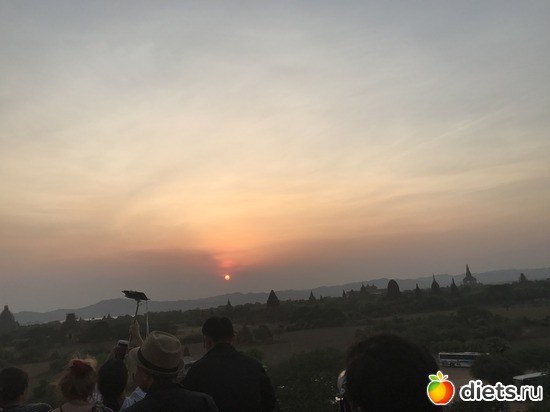 184 ����: ������ 2017. �����