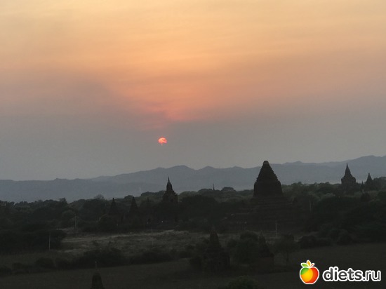 186 ����: ������ 2017. �����