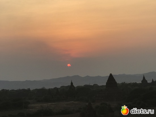 187 ����: ������ 2017. �����