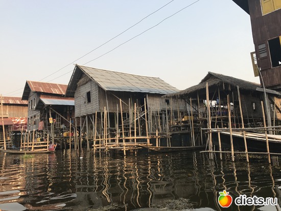 626 ����: ������ 2017. �����