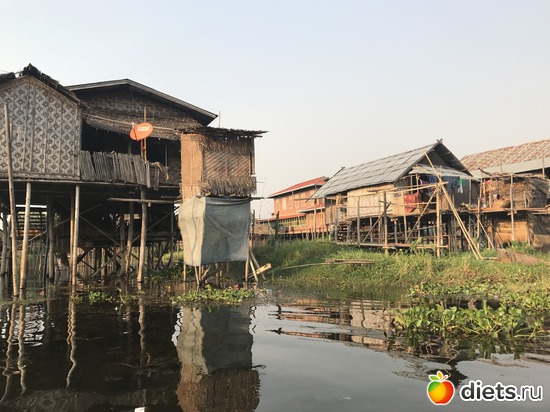 628 ����: ������ 2017. �����