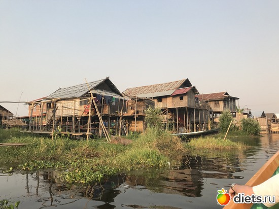 629 ����: ������ 2017. �����