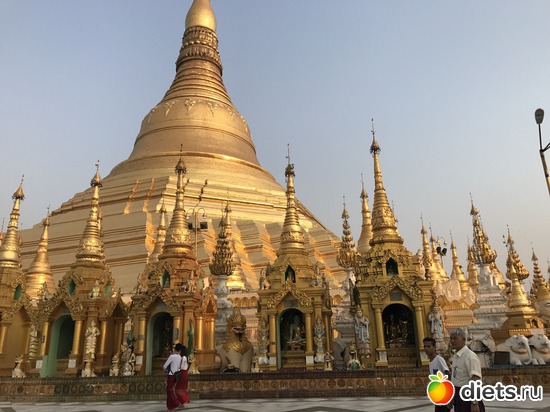 45 ����: ������ 2017. �����