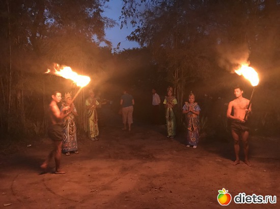 195 ����: ������ 2017. �����