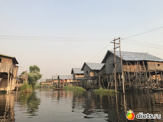 630 ����: ������ 2017. �����