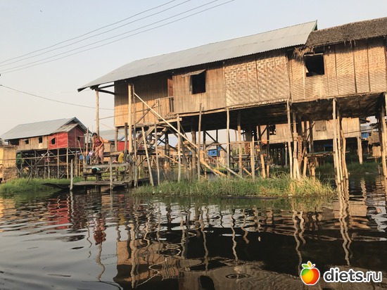 631 ����: ������ 2017. �����