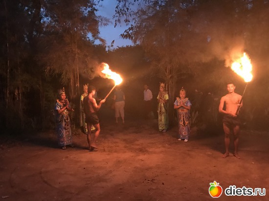 196 ����: ������ 2017. �����