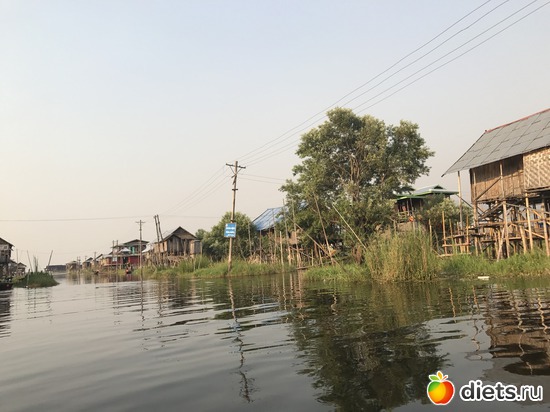 636 ����: ������ 2017. �����