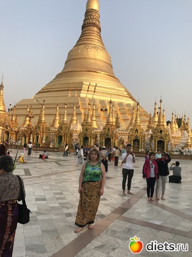 49 ����: ������ 2017. �����