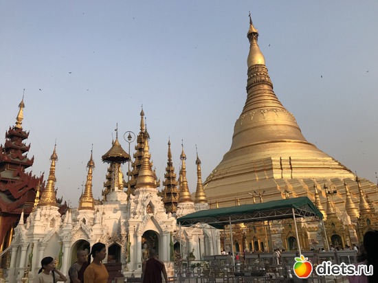 51 ����: ������ 2017. �����