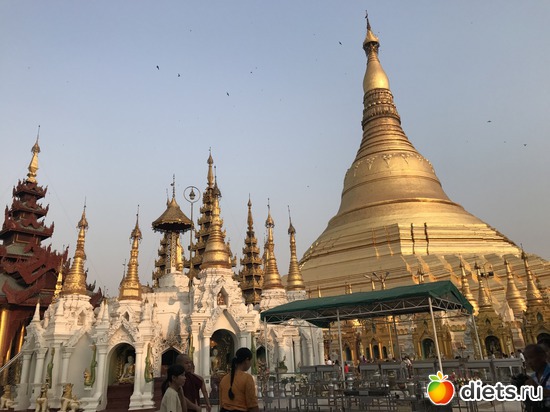 52 ����: ������ 2017. �����