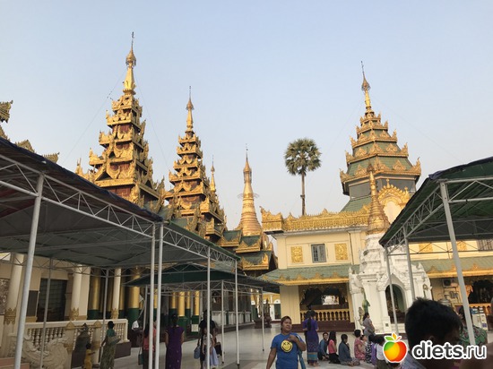 53 ����: ������ 2017. �����