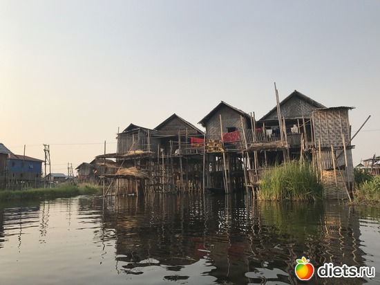 638 ����: ������ 2017. �����