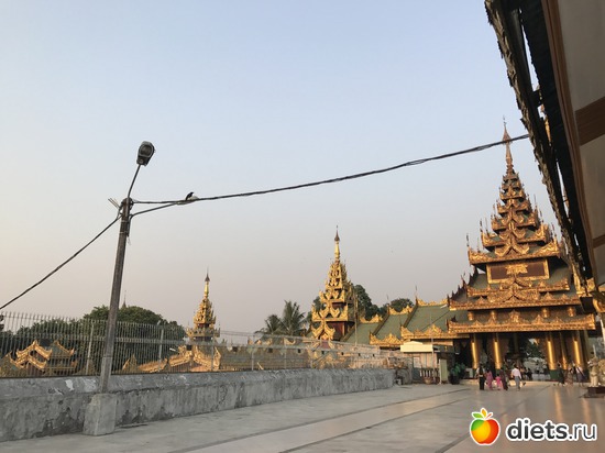 54 ����: ������ 2017. �����