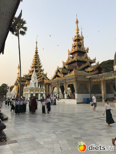 55 ����: ������ 2017. �����