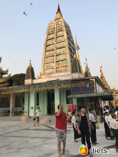 56 ����: ������ 2017. �����