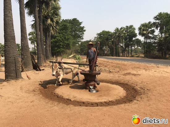 200 ����: ������ 2017. �����