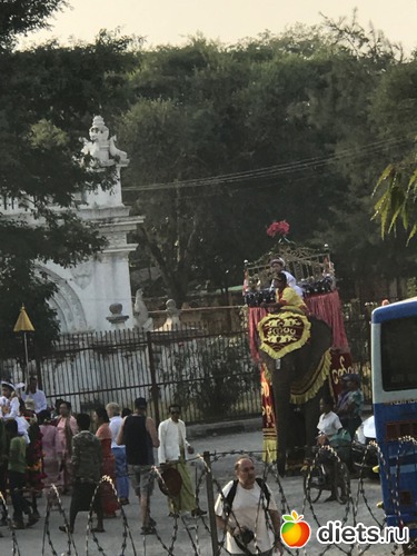 373 ����: ������ 2017. �����